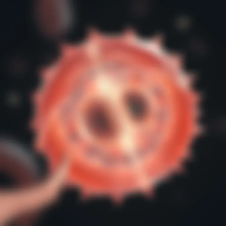 Visual representation of binary fission in amoeba highlighting nucleus division and cytoplasm splitting