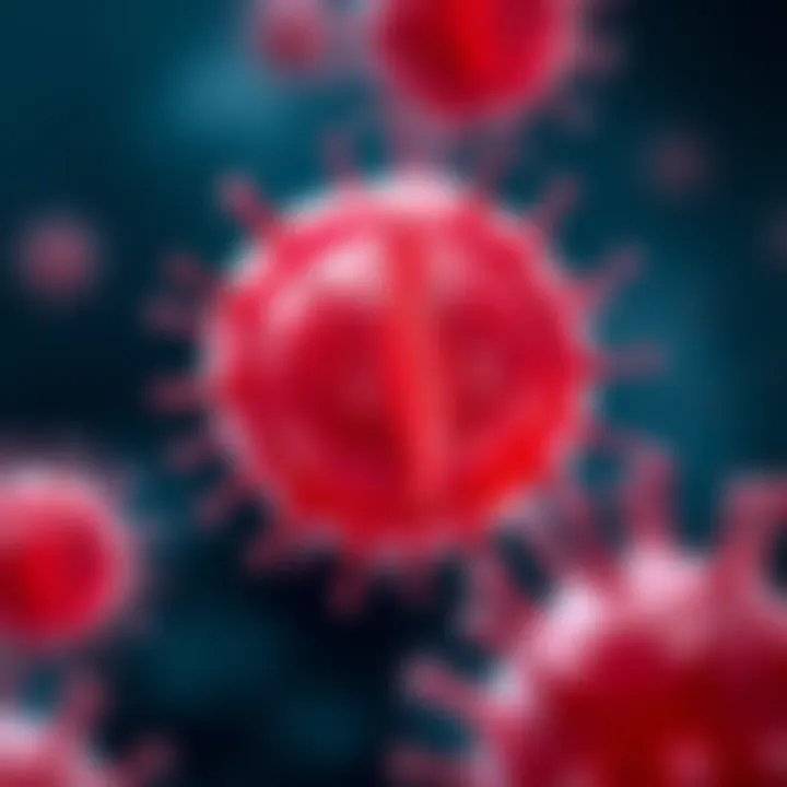 Diagram showing a single bacterial cell dividing into two identical cells through binary fission