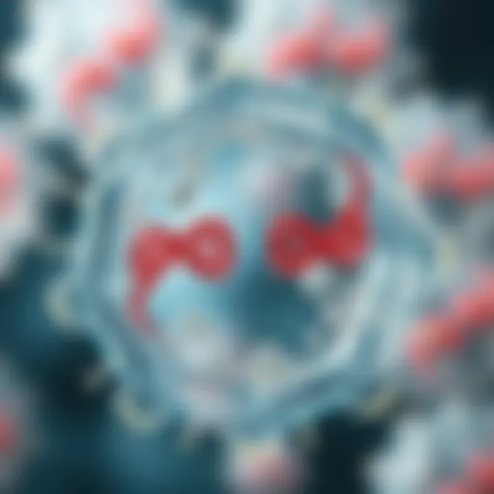 Diagram illustrating binary fission in a bacterium showing DNA replication and cell division