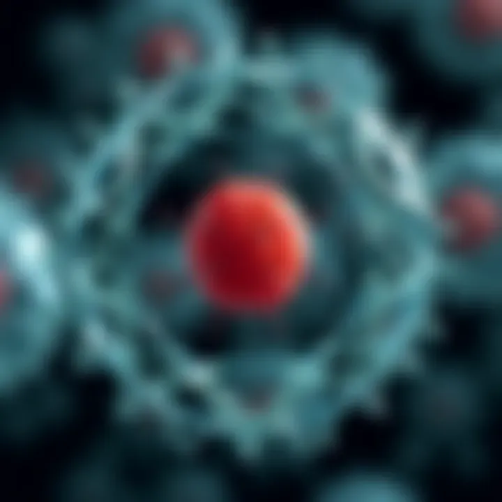 Diagram illustrating the stages of cell division in prokaryotic organisms through binary fission