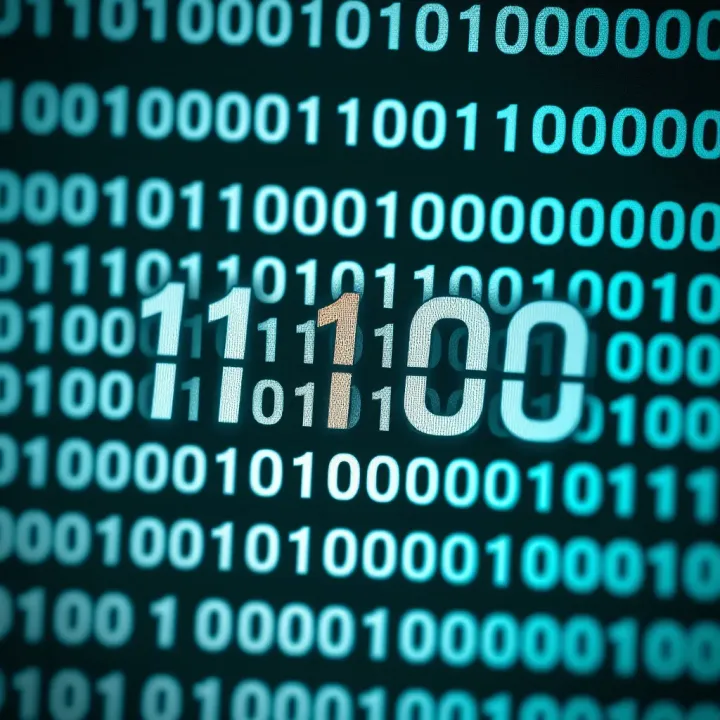 Understanding Binary Codes and Their Uses